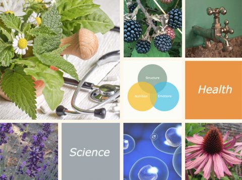 What Is A Naturopath?